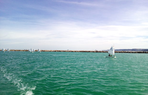 Raduni Optimist e Laser